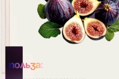 nedelja-ovoshhej-i-fruktov-1