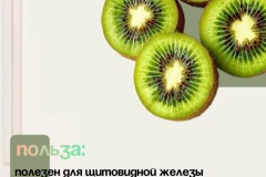 nedelja-ovoshhej-i-fruktov-2