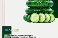 nedelja-ovoshhej-i-fruktov-4