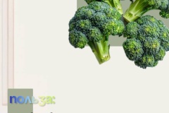 nedelja-ovoshhej-i-fruktov-5